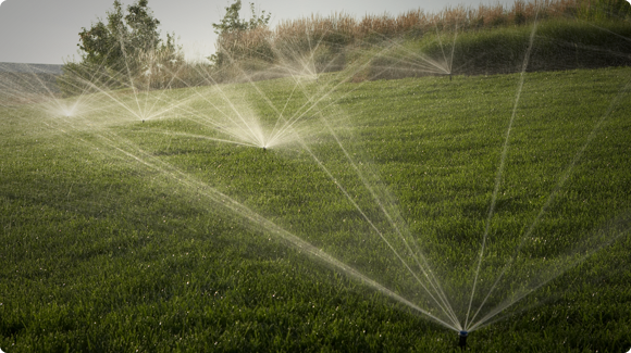 water your grass good
